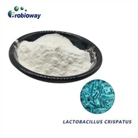 Lactobacillus Crispatus-poeder
