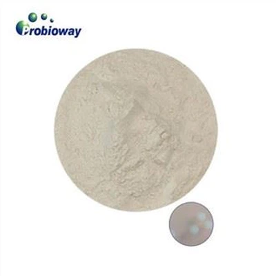 Pediococcus Pentosaceus-poeder