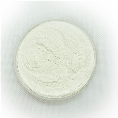 Bifidobacterium Bifidum