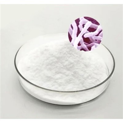 Bifidobacterium Lactis Probioticum