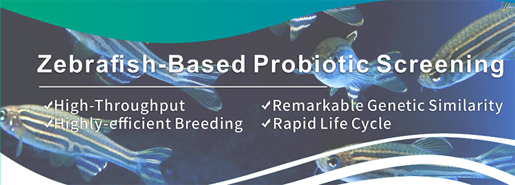 Akkermansia muciniphila AK47